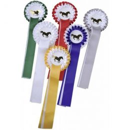 COCCARDA DA PREMIAZIONE Ø 11,5 cm Accessori Briglie 